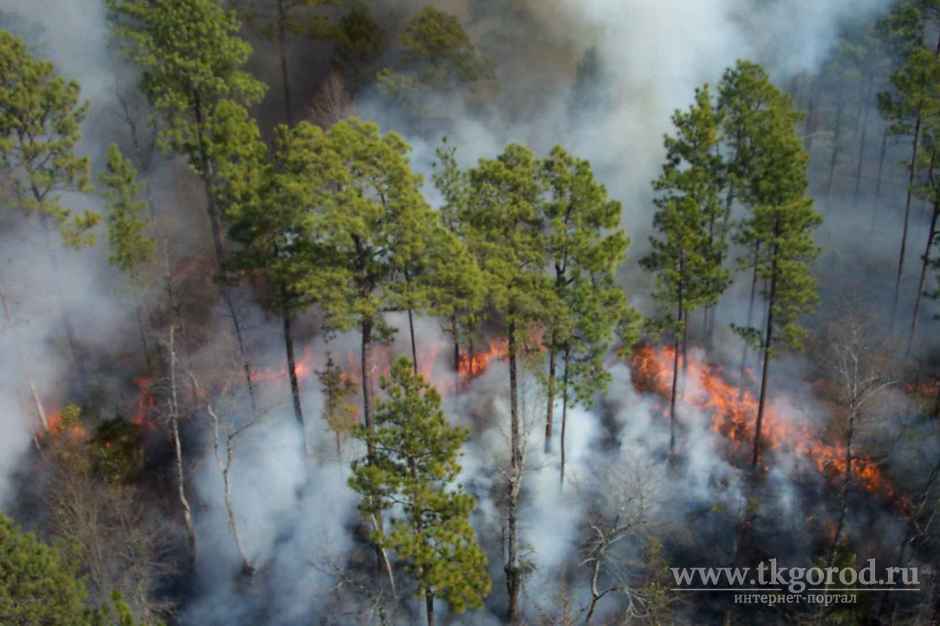 Задымление от лесных пожаров возможно в северных районах Иркутской области