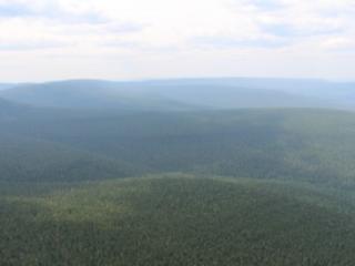 В Иркутской области на 34% сократились незаконные рубки леса