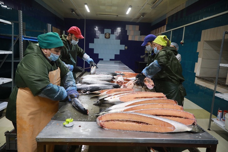 Рыбный цех открыли в Ангарске