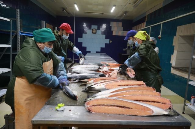 В Ангарске открыли цех по производству рыбно-овощных консервов