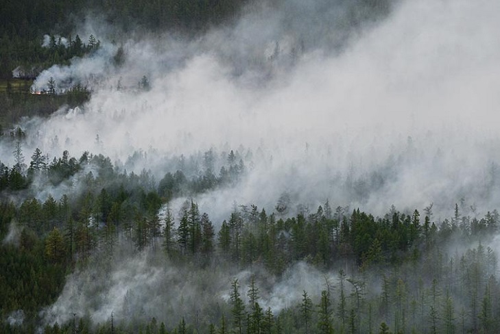 35 тысяч гектаров леса горит в Иркутской области на утро 12 июня