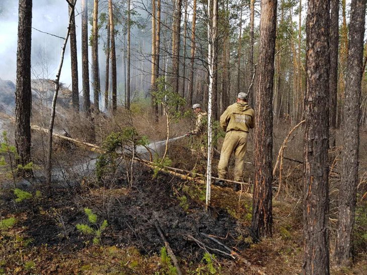 35 тысяч гектаров леса горит в Иркутской области на утро 14 июня