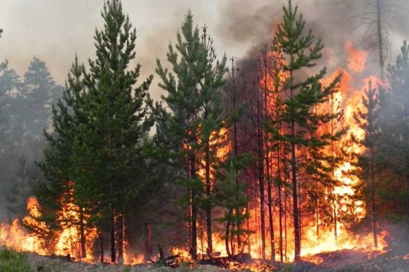 Четыре лесных пожара общей площадью почти 35 тысяч га продолжают бушевать в Приангарье