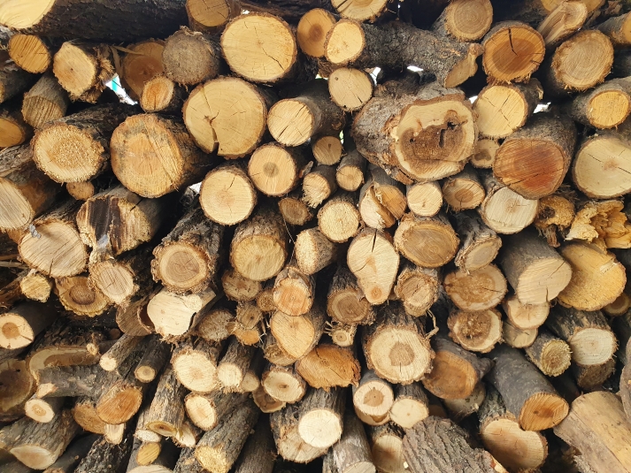 3 млн кубометров древесины экспортируют из Иркутской области в Китай