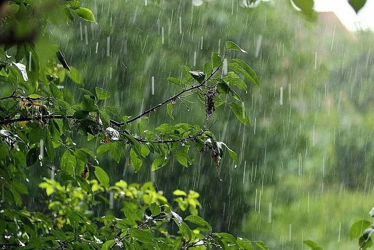Сильные дожди с грозами ожидаются в Иркутской области 16&nbsp;июня