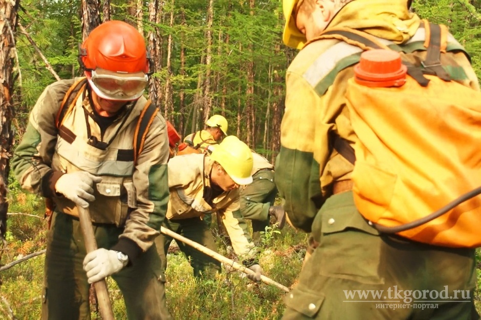 Иркутская область получит дополнительные средства из федерального бюджета на мониторинг и ликвидацию лесных пожаров