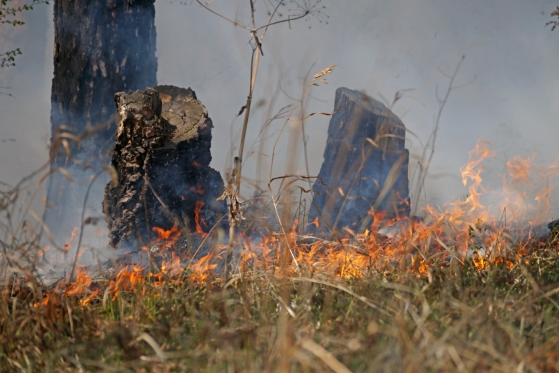 Лесной пожар продолжает бушевать в Катангском районе Приангарья на площади 32508 га