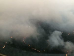 Крупный лесной пожар в Катангском районе локализовали 17 июня