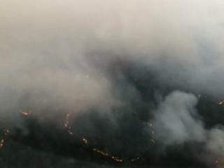 Локализован крупный лесной пожар в Катангском районе, зарегистрированный 2 июня