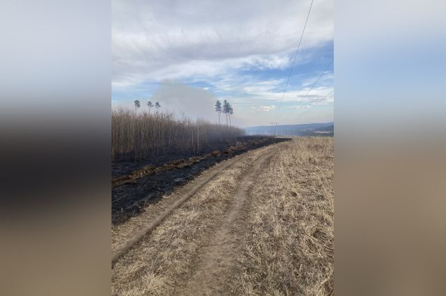 Виновника пожара в Иркутском районе приговорили к обязательным работам