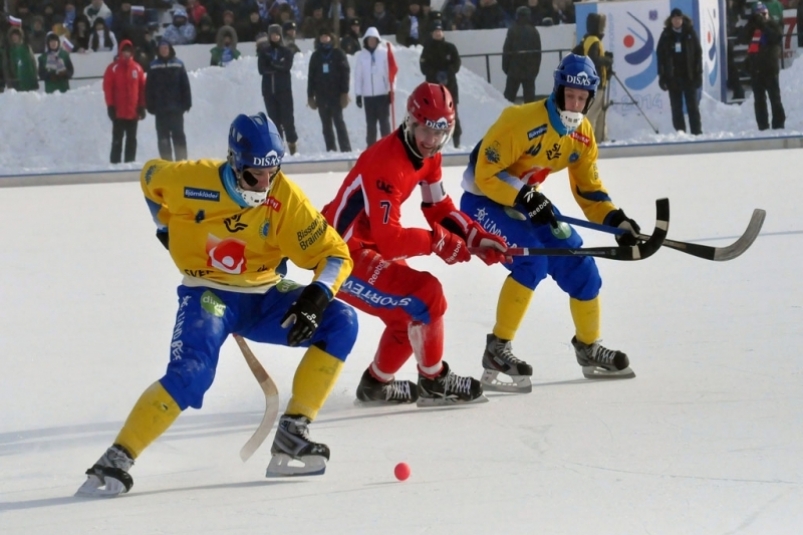 Чемпионат мира по хоккею с мячом пройдет в Иркутске в октябре