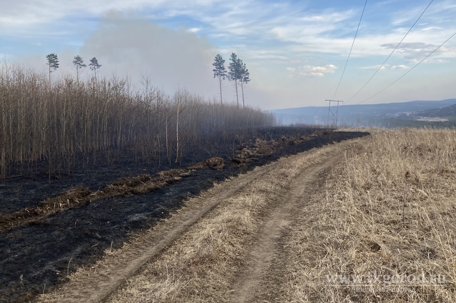 Суд вынес приговор пастуху Иркутского лесхоза, устроившему крупный лесной пожар