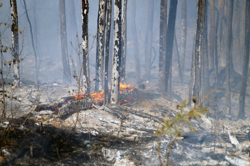 Два лесных пожара остаются локализованными на площади 33,6 тысячи га в Иркутской области