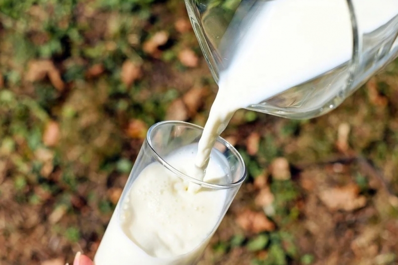ЦРПТ опроверг влияние маркировки на рост цен на "молочку", несмотря на мнение бизнеса