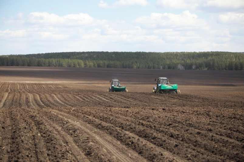 Илья Сумароков: Аграрии Иркутской области завершают сев зерновых культур