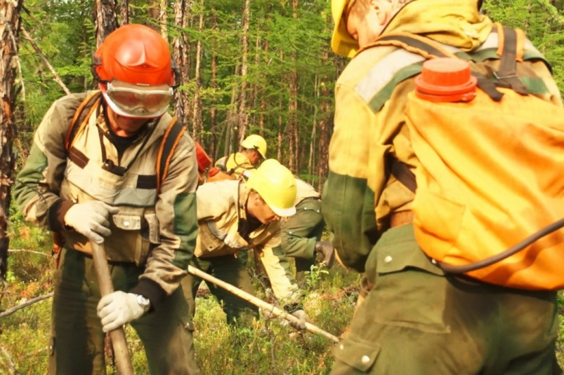 Три лесных пожара за сутки ликвидировали в Иркутской области