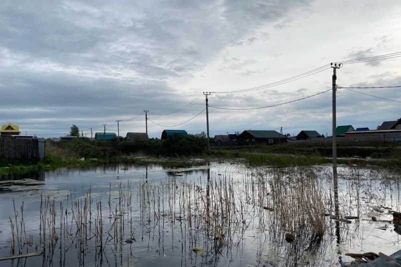 Уровень грунтовых вод начал снижаться в Пади Грязнуха в Иркутске