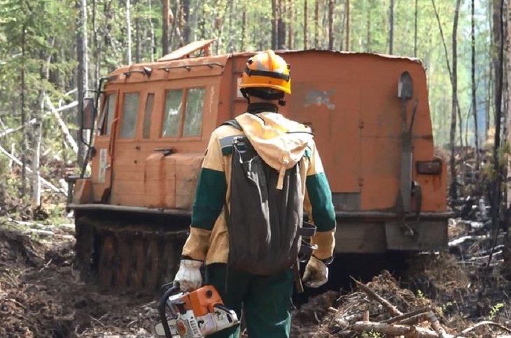 За сутки площадь лесных пожаров в Иркутской области увеличилась на 25 гектаров