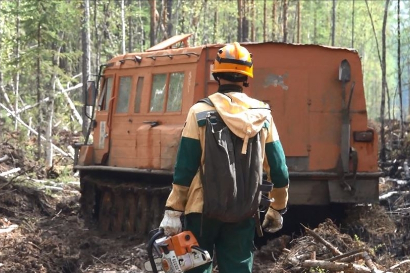 Пять лесных пожаров действуют в Иркутской области