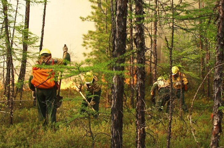 Иркутская область вновь стала лидером по площади лесных пожаров в России