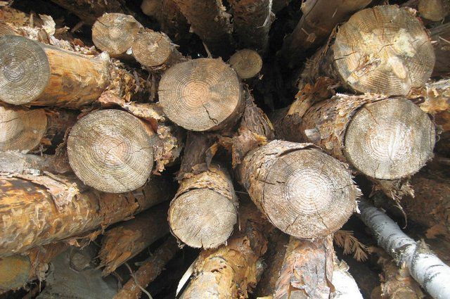 Незаконную древесину на 1,5 миллиона нашли на пункте отгрузки в Иркутске