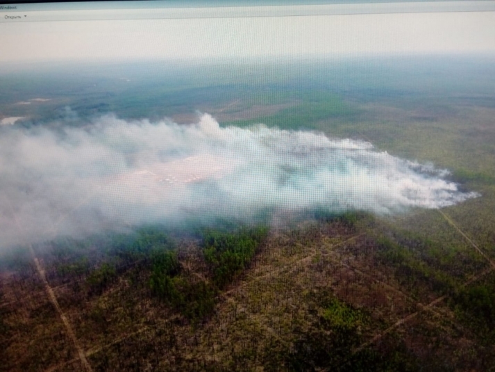 Три лесных пожара остаются локализованными на площади 32,5 тысячи га в Иркутской области