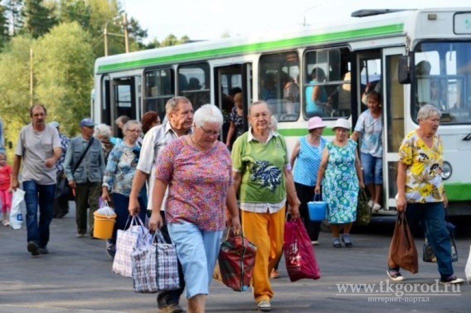 С 1 июля электронные социальные проездные билеты начнут действовать на территории всей Иркутской области
