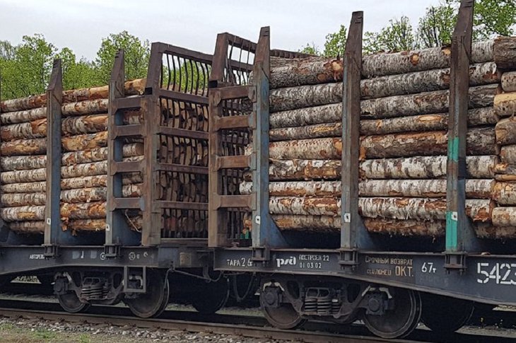В Иркутске задержана преступная группа, экспортировавшая в Китай лес на 34 миллиона рублей