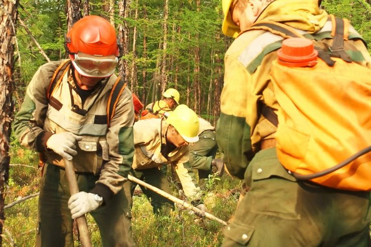 6 июля в Иркутской области действует 13 лесных пожаров на площади 3 610 гектаров