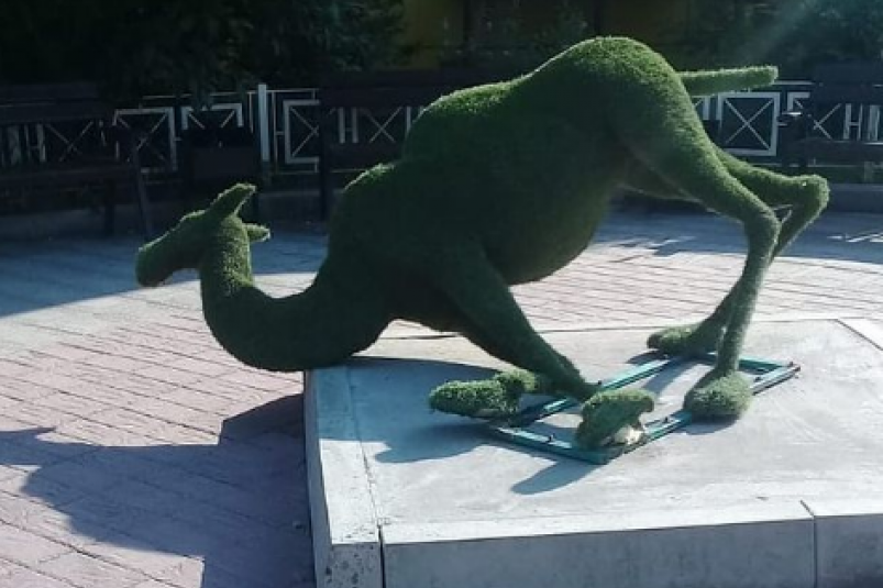 Вандалы разрушили урны и лавки в Лисихинском парке и фигуру зеленого верблюда в Иркутске