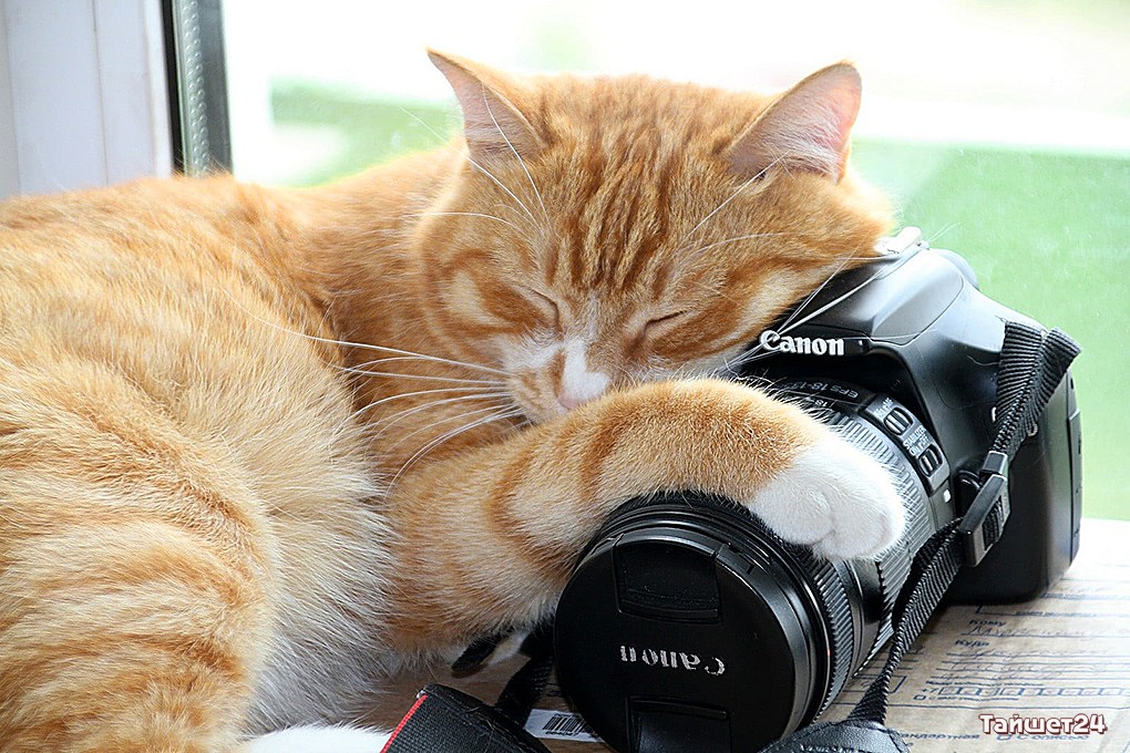 12 июля – День фотографа!