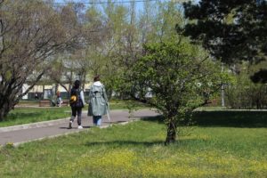 COVID-19 в Иркутской области: +372 заболевших человека за сутки