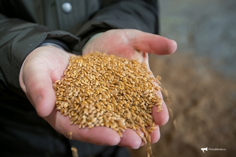 18,5 тысячи тонн зерна отправили на экспорт в Иркутской области