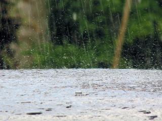 Сильные дожди, ливни и грозы ожидаются в Иркутской области 15 июля