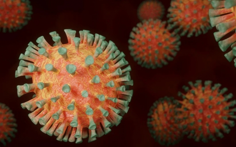 COVID-19 – это цветочки: в ВОЗ сообщили о более опасных штаммах вируса