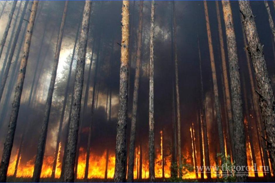 В Иркутской области дым от лесных пожаров наблюдается в семи населённых пунктах