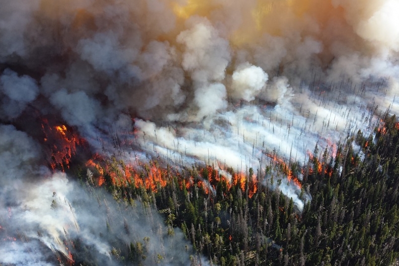 Задымление от лесных пожаров наблюдается в трех северных районах Иркутской области