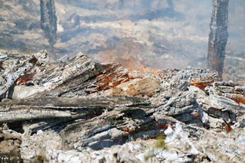 Площадь лесных пожаров увеличилась до 32,6 га в Иркутской области