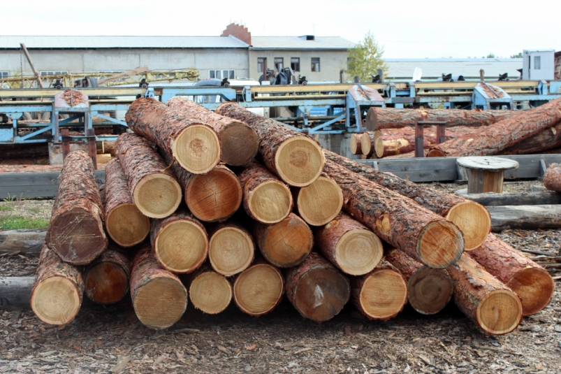 Житель Иркутской области отправится в колонию за незаконный сбыт древесины на 2 млн рублей