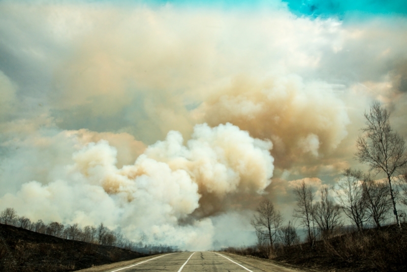 Девять населенных пунктов Иркутской области попали в зону задымления от лесных пожаров