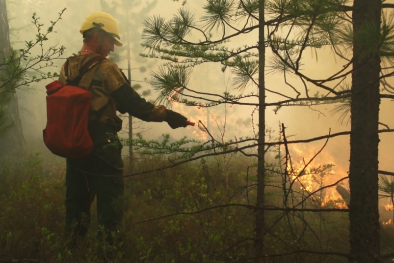 16 лесных пожаров на площади 2,8 тысячи га ликвидировали в Иркутской области