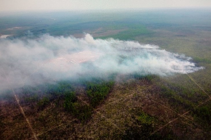 В Иркутской области горит 40 тысяч гектаров леса