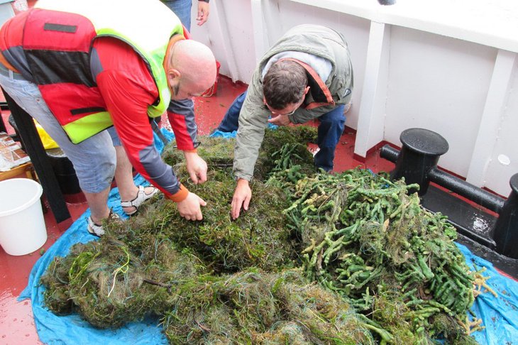 Ученые исследуют уровень загрязнения Байкала рыболовными сетями