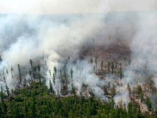 14 городов и поселков в Иркутской области находятся в дыму от лесных пожаров