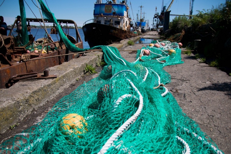 Специалисты изучат влияние затонувших рыболовных сетей на экосистему Байкала