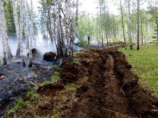 За минувшие сутки в лесном фонде в Иркутской области ликвидировано 14 пожаров