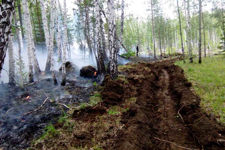 Сто тысяч гектаров леса горит в Иркутской области на утро 29 июля