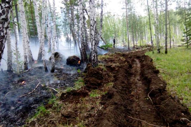 В Иркутской области из-за гроз занялись 13 лесных пожаров