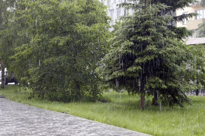 Ливневые дожди, грозы и град ожидаются в Иркутской области 30 июля