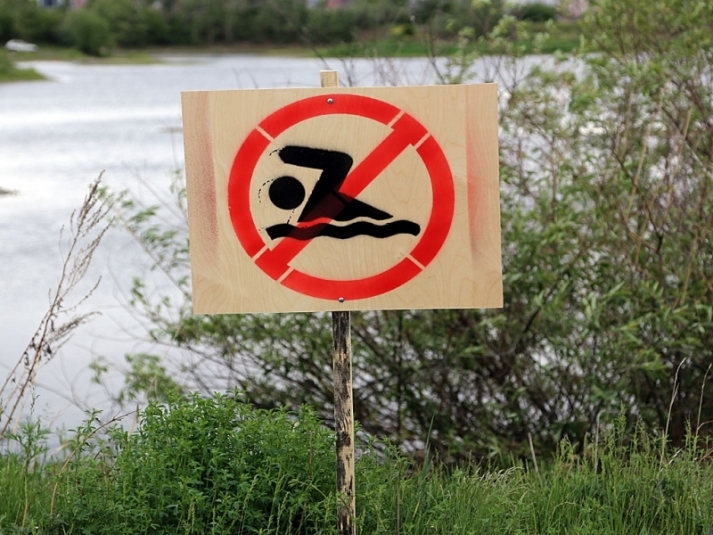 Купаться не рекомендуют в реке Ангаре в Усольском районе